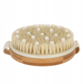 SZCZOTKA-DO-MASAZU-AGAWA-NA-SUCHO-I-MOKRO-GIFT-EAN-5903896517063.png